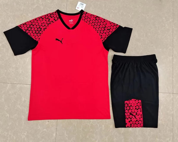 Ensemble match rouge PUMA