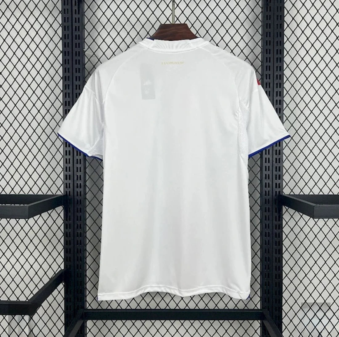 Maillot 25/26 Lyon Domicile