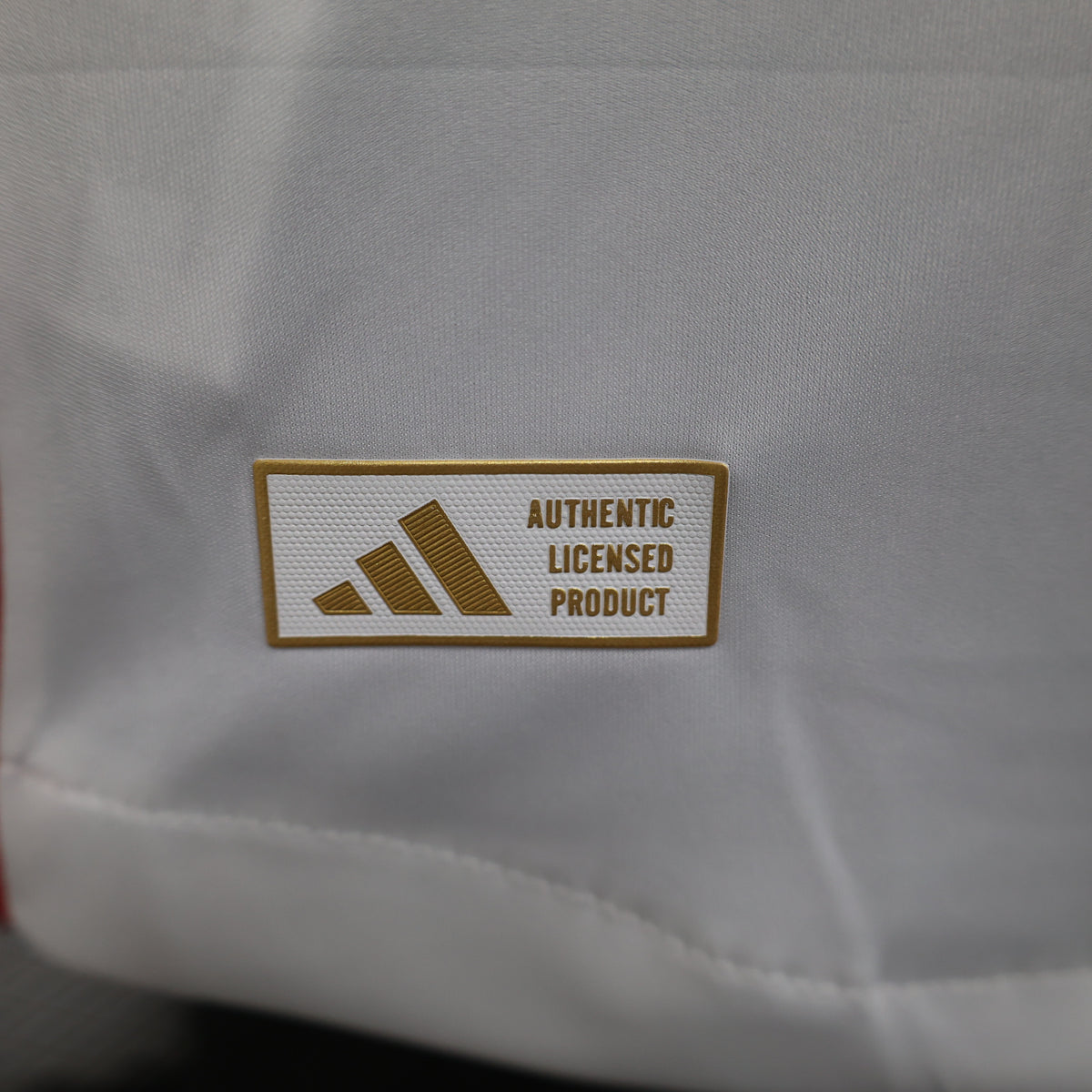 MAILLOT OL DOMICILE 2024/2025