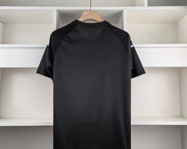 Allemagne (Avant-match) - 2024/25