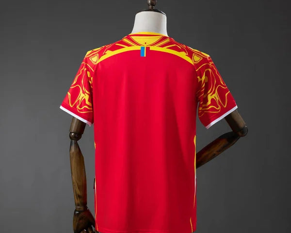 MAILLOT 25/26 CONGO THIRD