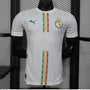 MAILLOT 25/26 SÉNÉGAL WHITE CHAMPIONS