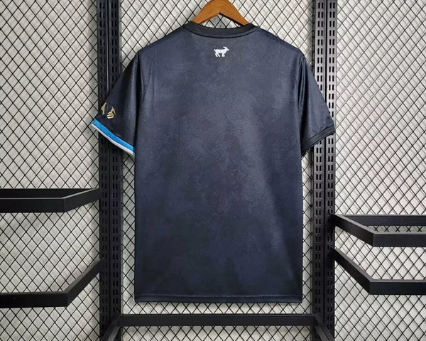 Argentine (Spécial) - 2024/25